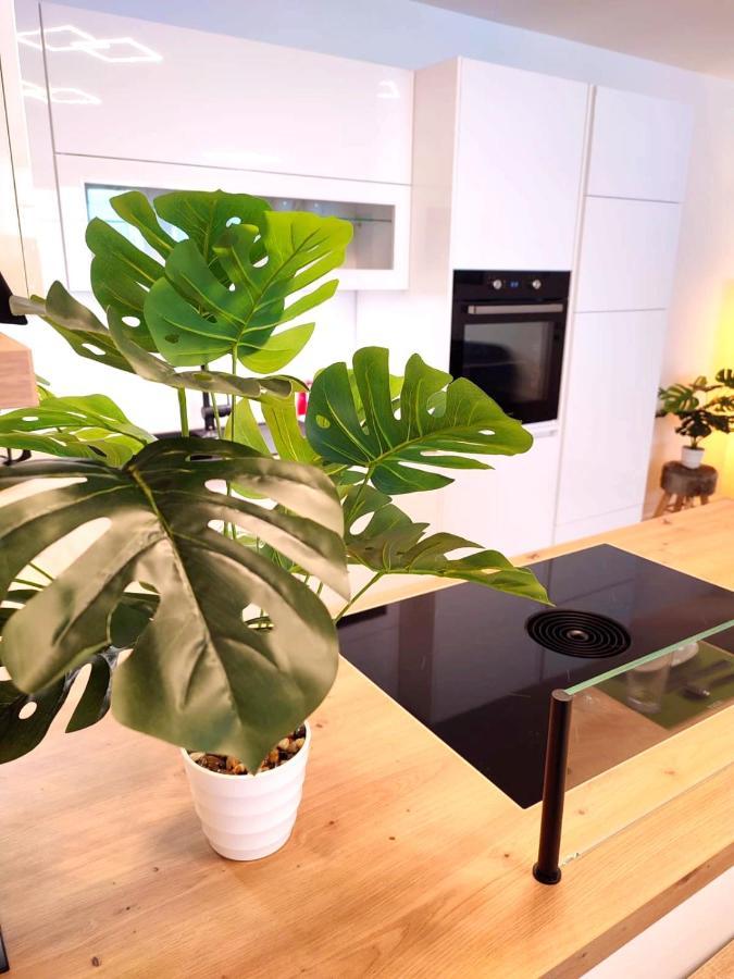 Modern Mountain Apartment - Free Parking & Sauna Obertauern Ngoại thất bức ảnh