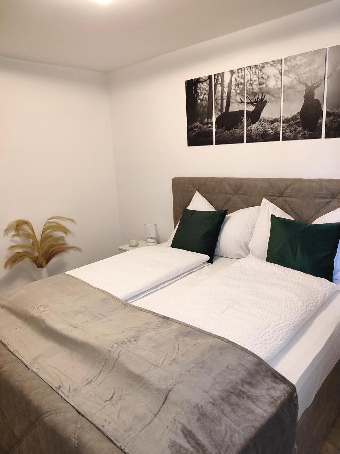 Modern Mountain Apartment - Free Parking & Sauna Obertauern Ngoại thất bức ảnh