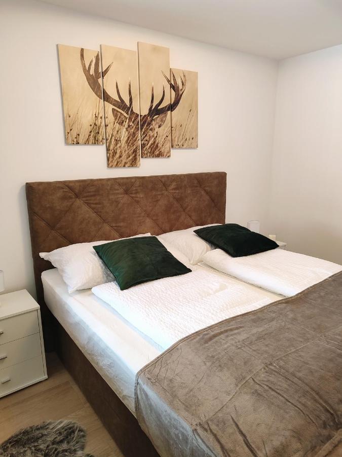 Modern Mountain Apartment - Free Parking & Sauna Obertauern Ngoại thất bức ảnh